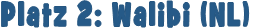 Platz 2: Walibi (NL)